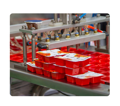 Description of the sauce and ketchup factory project