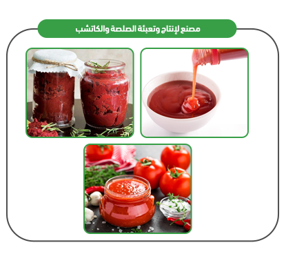Sauce and ketchup manufacturer products