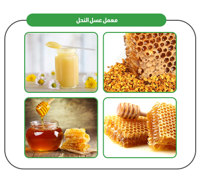 Project products