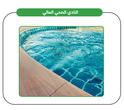 Project services